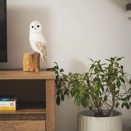 Afrodite-μεζονέτα στην πόλη *