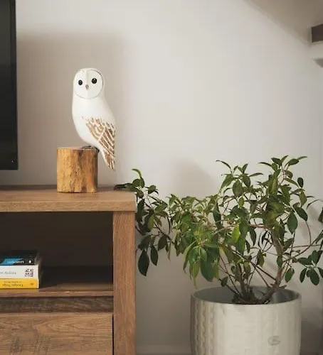 Afrodite-μεζονέτα στην πόλη *